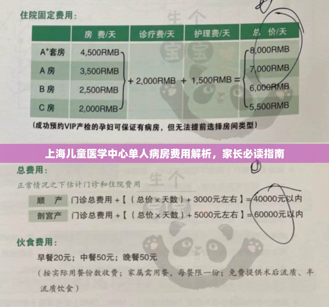上海儿童医学中心单人病房费用解析，家长必读指南