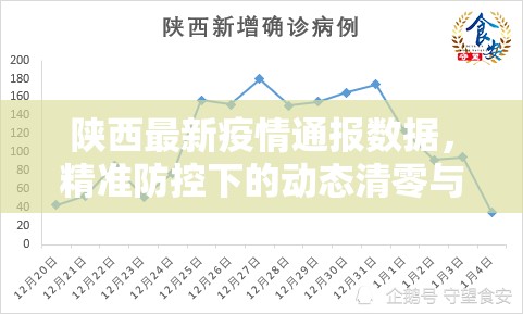 陕西最新疫情通报数据,精准防控下的动态清零与常态化管理 陕西最新疫情通报数据,精准防控下的动态清零与常态化管理