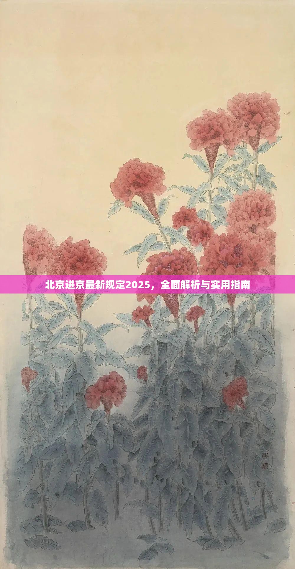 北京进京最新规定2025，全面解析与实用指南