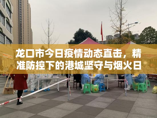 龙口市今日疫情动态直击,精准防控下的港城坚守与烟火日常 龙口市今日疫情动态直击,精准防控下的港城坚守与烟火日常
